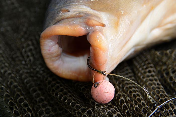 Erik-Hakvoort-chod-rig-karpervissen-13