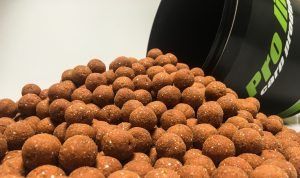 pro-line-crunchy-belachan-krill