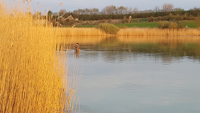 btw-revealed-etang-du-moulin-14