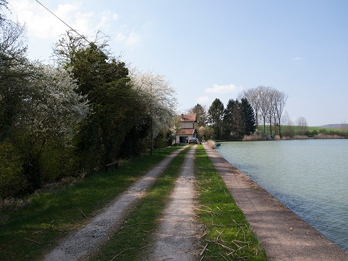 btw-revealed-etang-du-moulin-2