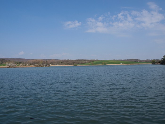btw-revealed-etang-du-moulin-4
