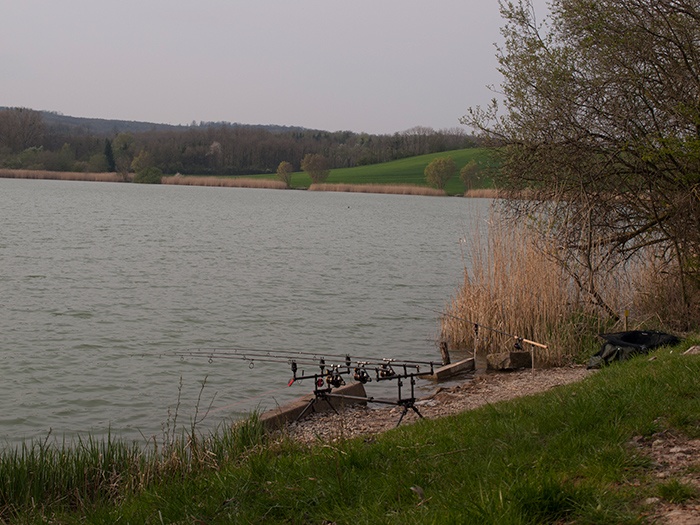 btw-revealed-etang-du-moulin-6