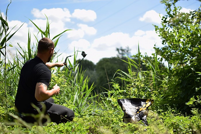hoog gras - tekenbeet